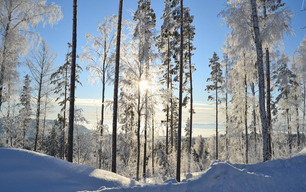 Riihivuori Cottages Muurame Zimmer foto