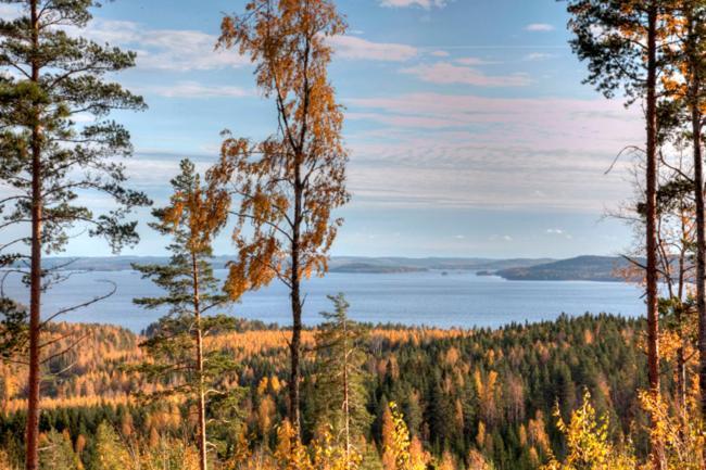 Riihivuori Cottages Muurame Exterior foto