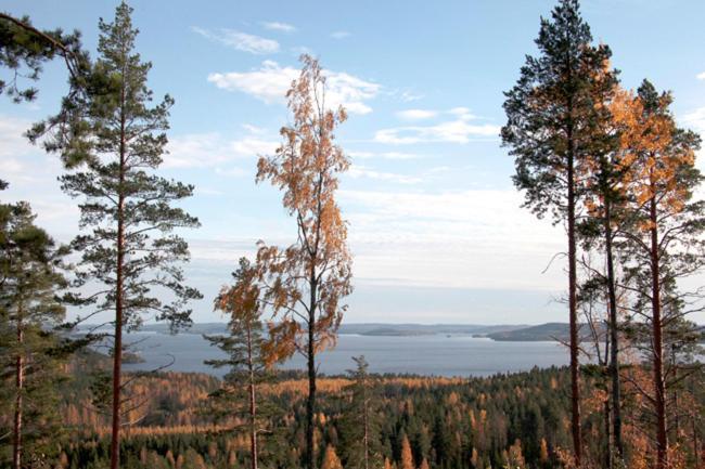 Riihivuori Cottages Muurame Exterior foto